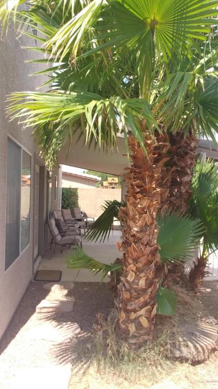 4119 E San Angelo Ave, Gilbert, AZ 85234 photo 18
