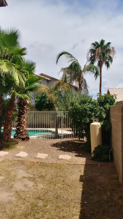 4119 E San Angelo Ave, Gilbert, AZ 85234 photo 15