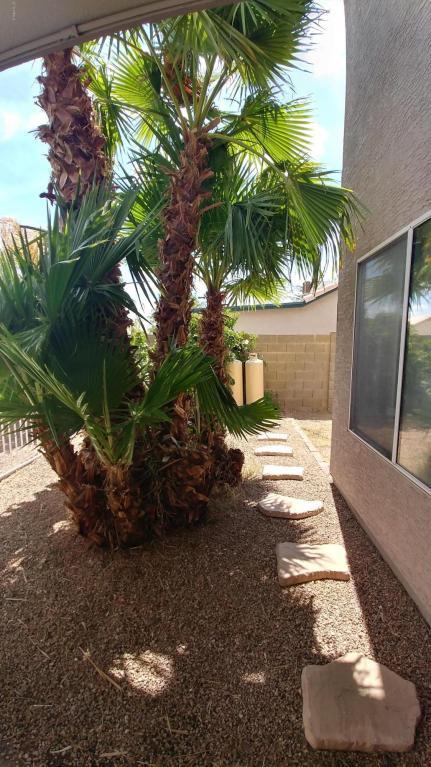 4119 E San Angelo Ave, Gilbert, AZ 85234 photo 19