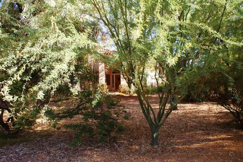 1831 E Lexington Ave, Gilbert, AZ 85234 photo 29