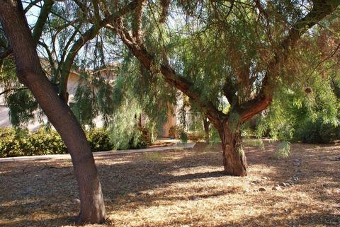 1831 E Lexington Ave, Gilbert, AZ 85234 photo 35