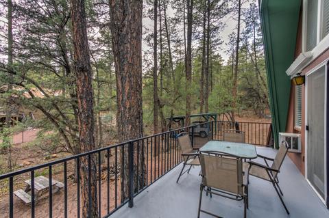 6829 W Ute Trl, Pine, AZ 85544 photo 11