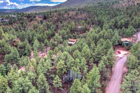 6829 W Ute Trl, Pine, AZ 85544 photo 39