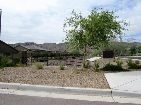 1421 E Pedro Rd, Phoenix, AZ 85042 photo 51