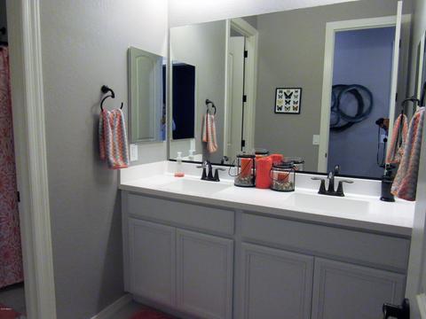 1421 E Pedro Rd, Phoenix, AZ 85042 photo 38