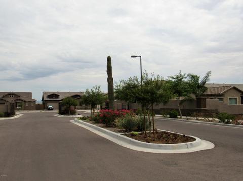 1421 E Pedro Rd, Phoenix, AZ 85042 photo 54
