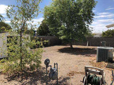 336 S Windsor --, Mesa, AZ 85204 photo 6