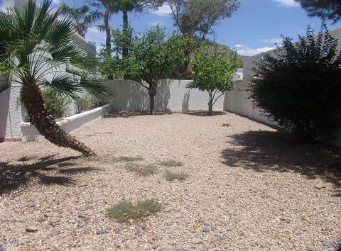 1225 E Meadow Ln, Phoenix, AZ 85022 photo 14