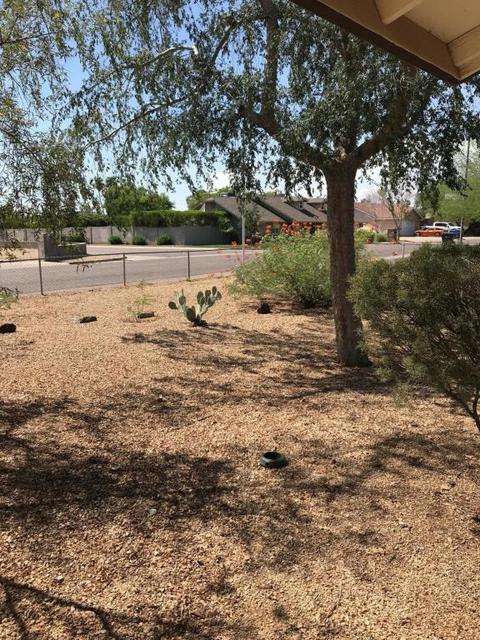 17841 N 41st Pl, Phoenix, AZ 85032 photo 3