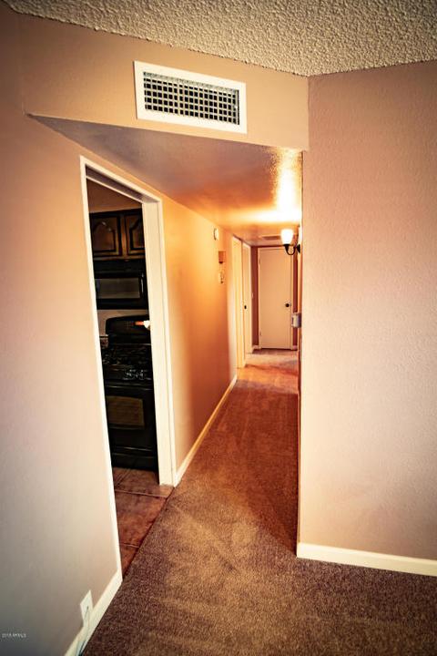 2474 W Cactus Wren St, Apache Junction, AZ 85120 photo 16