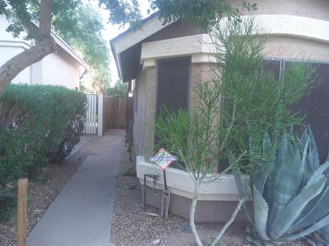 822 E Sack Dr, Phoenix, AZ 85024 photo 3