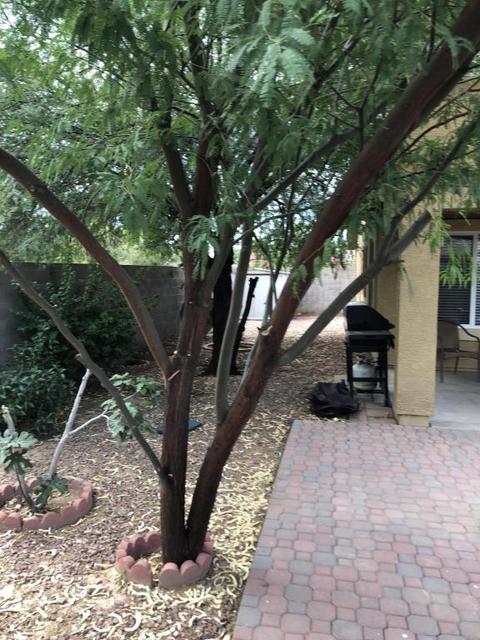 3690 E Simpson Ct, Gilbert, AZ 85297 photo 13