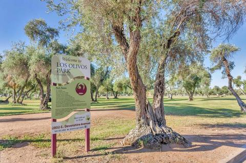 4319 N 29th Pl, Phoenix, AZ 85016 photo 19