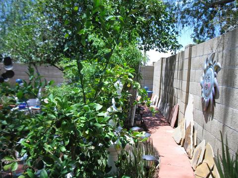1018 E Kerry Ln, Phoenix, AZ 85024 photo 43