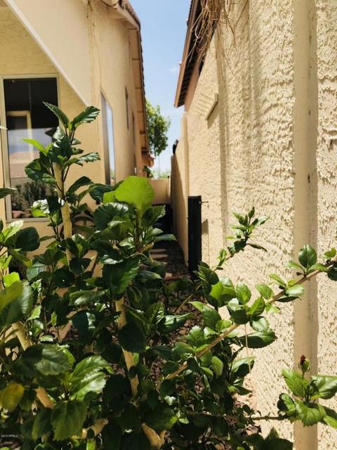 1916 E Fellars Dr, Phoenix, AZ 85022 photo 24