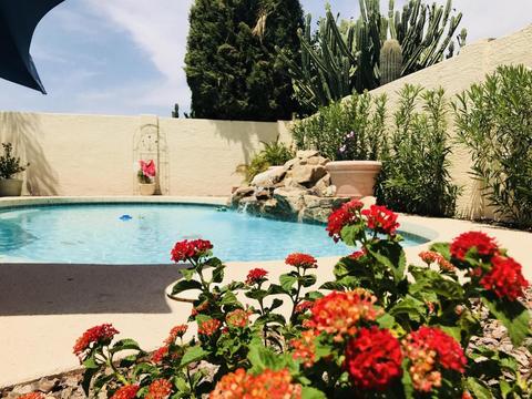 1916 E Fellars Dr, Phoenix, AZ 85022 photo 2