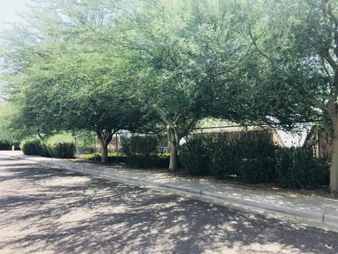 1916 E Fellars Dr, Phoenix, AZ 85022 photo 29