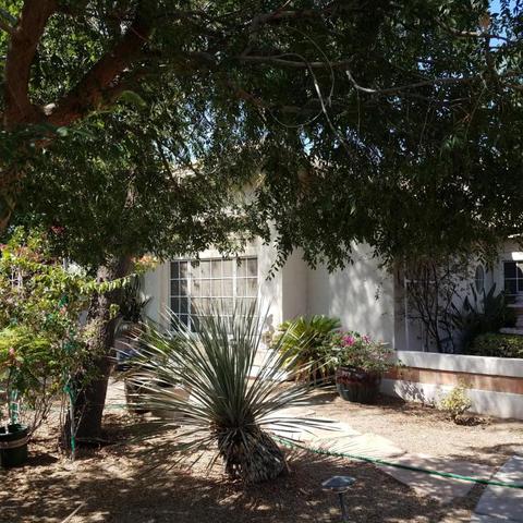 2573 E Desert Willow Dr, Phoenix, AZ 85048 photo 2