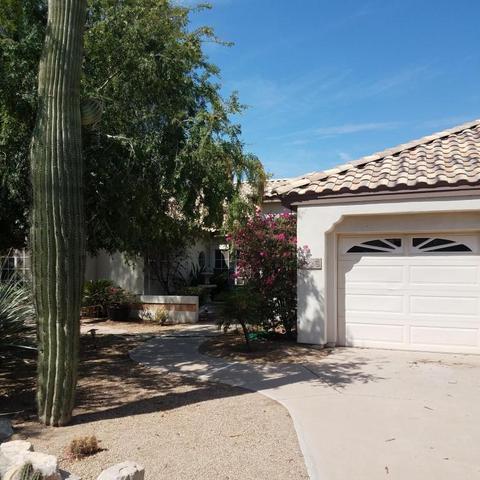 2573 E Desert Willow Dr, Phoenix, AZ 85048 photo 3