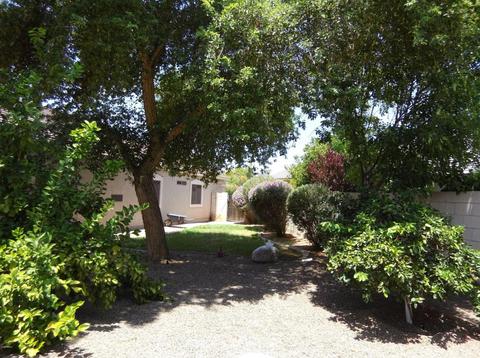 213 W Temple Ct, Gilbert, AZ 85233 photo 39