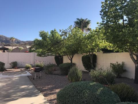 14831 S 9th St, Phoenix, AZ 85048 photo 14