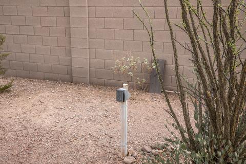 271 N Muleshoe Rd, Apache Junction, AZ 85119 photo 40