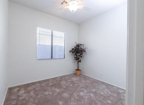 4704 E Prickly Pear Trl, Phoenix, AZ 85050 photo 12