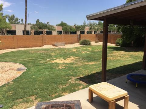 1956 E Rice Dr, Tempe, AZ 85282 photo 22