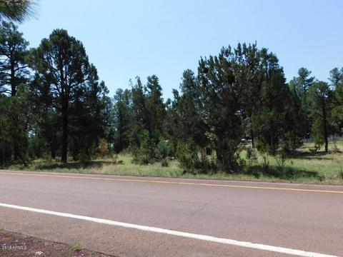 2178 N Oval Dr, Overgaard, AZ 85933 photo 26