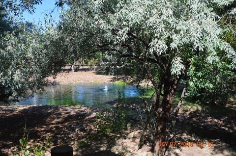 2322 S Buffalo Loop, Overgaard, AZ 85933 photo 1