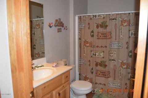 2322 S Buffalo Loop, Overgaard, AZ 85933 photo 12