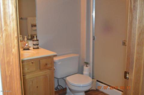 2322 S Buffalo Loop, Overgaard, AZ 85933 photo 10