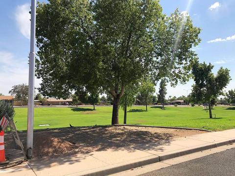 6444 E Indigo St, Mesa, AZ 85205 photo 2