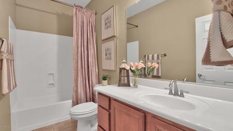 3281 E Ivanhoe St, Gilbert, AZ 85295 photo 13