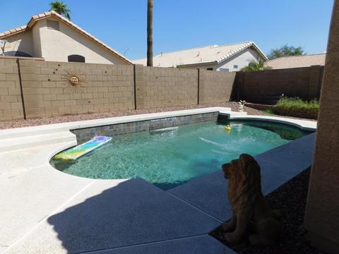 4340 E Bramble Cir, Mesa, AZ 85206 photo 21