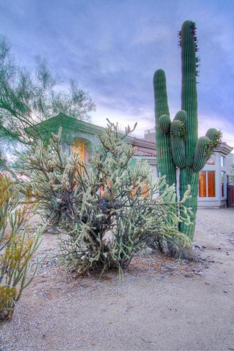3858 E Via Estrella --, Phoenix, AZ 85028 photo 36