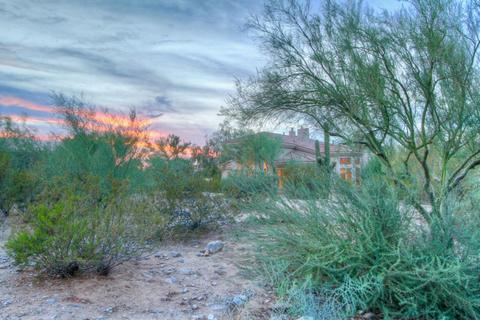 3858 E Via Estrella --, Phoenix, AZ 85028 photo 22