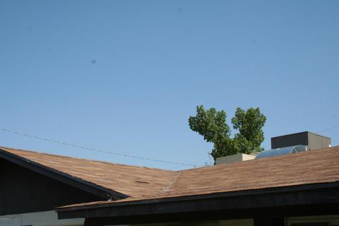 1143 E 8th Pl, Mesa, AZ 85203 photo 4