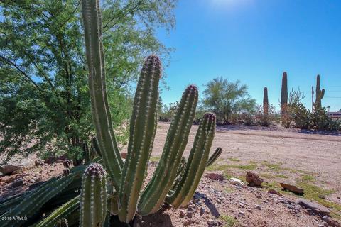 1022 W Escondido Ct, Apache Junction, AZ 85120 photo 16