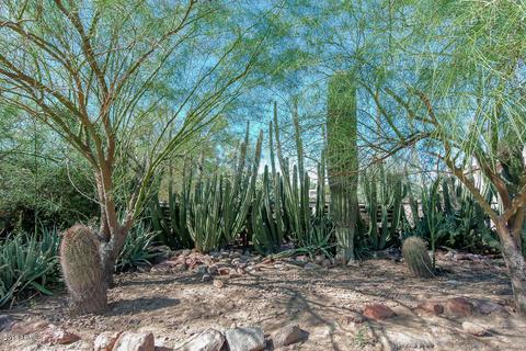 1022 W Escondido Ct, Apache Junction, AZ 85120 photo 19