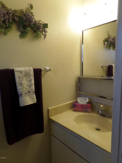 4135 E Dolphin Ave, Mesa, AZ 85206 photo 33