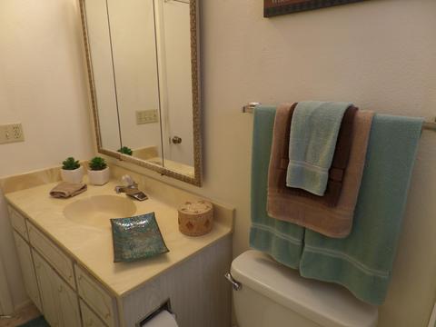 4135 E Dolphin Ave, Mesa, AZ 85206 photo 20