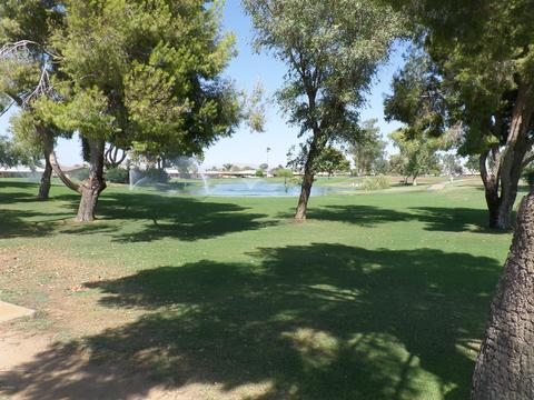 4135 E Dolphin Ave, Mesa, AZ 85206 photo 47
