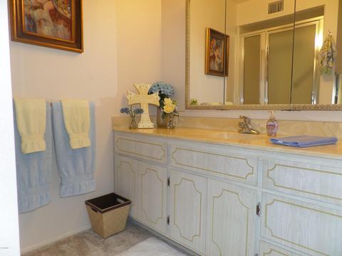 4135 E Dolphin Ave, Mesa, AZ 85206 photo 17