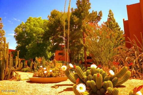 4303 E Cactus Rd #435, Phoenix, AZ 85032 photo 44