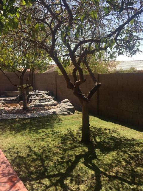 6443 E Nance St, Mesa, AZ 85215 photo 44