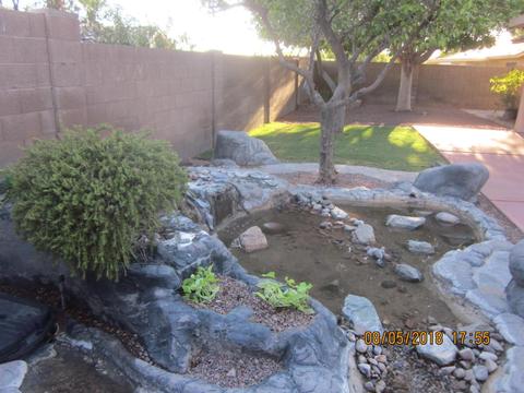6443 E Nance St, Mesa, AZ 85215 photo 47