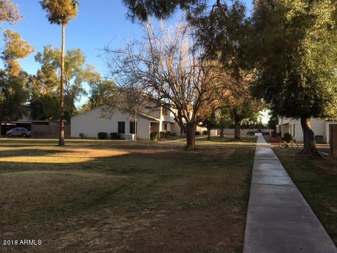 709 E Vaughn Dr, Tempe, AZ 85283 photo 8