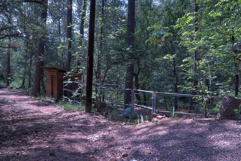 298 E Saddle Mountain Rd, Kohls Ranch, AZ 85541 photo 39