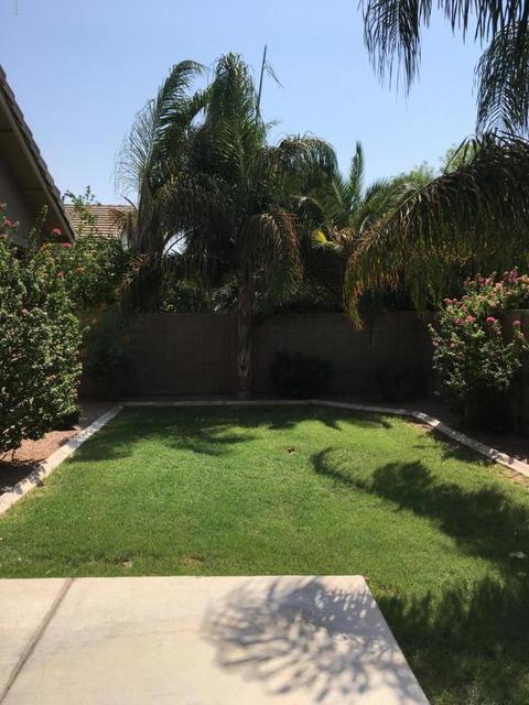 3759 E Park Ave, Gilbert, AZ 85234 photo 45